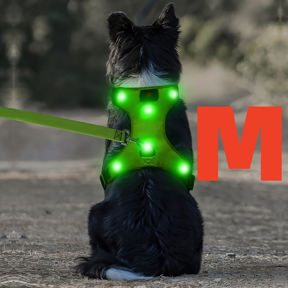 Light Up LED Dog Harness - No Pull Rechargeable Dog Vest with Detachable Battery, Washable Nylon Harness for Nighttime Walking & Camping, Multi-Color Options for Small Medium Large Dogs, Reflective Safety Features, Outdoor Pe