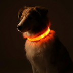 LED Luminous Collar