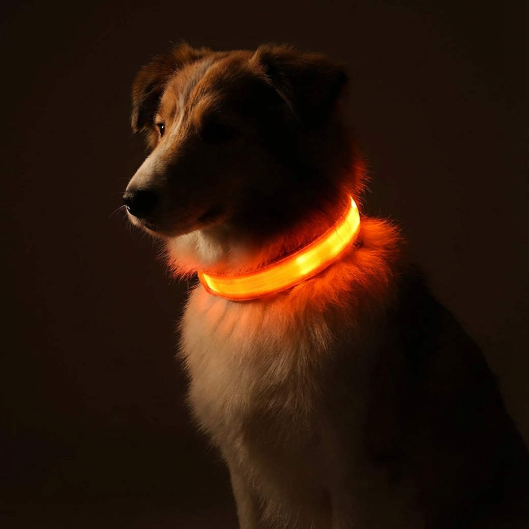 LED Luminous Collar